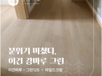 이건마루 그린(GRIN)125 마일드크림 시공 | 래미안 트리베라